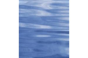 The Passions and the Interests: Political Arguments for Capitalism before Its Triumph - Twentieth Anniversary Edition