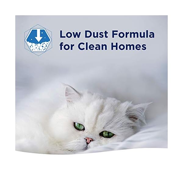 Ever Clean Extra Strong Clumping Cat Litter, 10 Litre, Scented