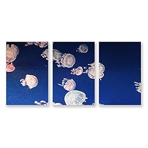 3 Panel Canvas Wall Art Jellyfish in Deep Sea Pictures Home Wall Decorations for Bedroom Living Room Paintings Canvas Prints Framed - 16"x24" x 3 Panels