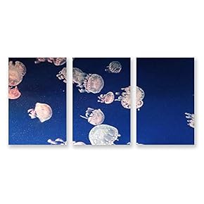 wall26 3 Panel Canvas Wall Art Jellyfish in...