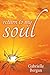Return to My Soul by Gabrielle Bergan