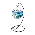 NewDreamWorld Table Aquarium Kit - 2 x 10 mm Aquatic Living Moss Balls Small Stones of Glass Black Fan Coral Branch in a 3.5" Hanging Orb Terrarium with Bent Metal Stand
