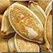 Big Max Pumpkin Seeds - Cucurbita Pepo - 5 Grams - Approx 15 Gardening Seeds - Vegetable Garden Seed