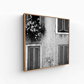 Canvas Wall Art for Living Room, Bedroom Silence Framed Canvas Prints for Home Decoration Ready to Hang - 16x16 inches