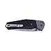 Knife F7491-BK by Ganzo G7491 Firebird Pocket Folding Hunting Knife G-10 Handle SS Blade