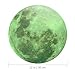 WINOMO Full Moon Wall Stickers Glow in The Dark Light Luminous Wall Art Decals for Home Room Decor(Grey)