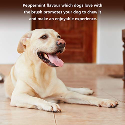 Cutiful Large Size Dog Toothbrush Dog Chew Tooth Cleaner Brushing Stick Natural Rubber Dog Chew Toys Doggy Puppy Dental Care Dog Chew Toothbrush for 45-90 lbs Pet Puppies