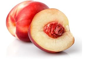 Farm2You, Nectarine Yellow Bag Conventional, 32 Ounce