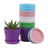10 Pcs Plastic Planters Indoor Flower Plant