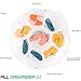 Pill Organizer Pill Splitter,Splaks Weekly Portable Pill Box Travel Planner,7 Day Case Dispenser with Pill Cutter Moisture-Proof Large Compartments for Daily Fish Oils,Supplements,Vitamins Medication