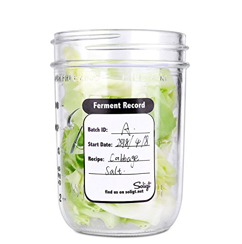 4 Fermentation+Weights+Ferment+Record+Labels