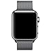 Fening Apple Watch Band 42mm, Milanese Loop Stainless Steel Mesh iWatch Band with Magnetic Lock for Apple Watch Series 3 Series 2 Series 1 Edition - Black