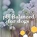 Burt's Bees for Pets Naturally Derived Whitening Shampoo with Papaya & Yogurt - Brightening White Dog Shampoo for All Dogs, 16 Fl Oz