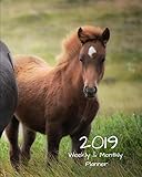 2019 Weekly and Monthly Planner: Brown Horse Daily Organizer -To Do -Calendar in Review/Monthly Calendar with U.S. Holidays-Notes Volume 37 by All In A Day