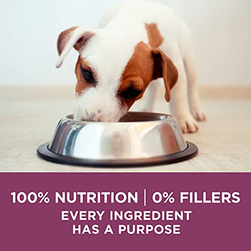 Purina ONE Natural, High Protein Dry Puppy Food, +Plus Healthy Puppy