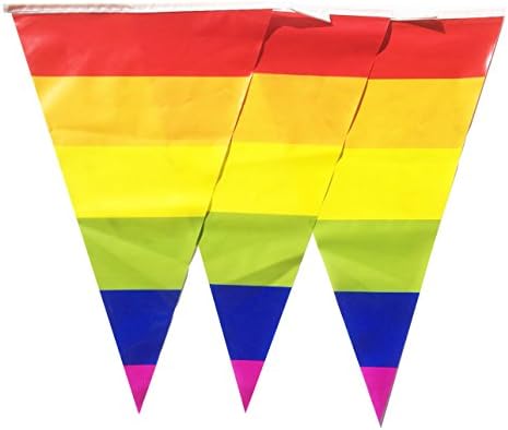 Gay Pride Rainbow Flag Banner Party Decoration by Gabby Fun Copr