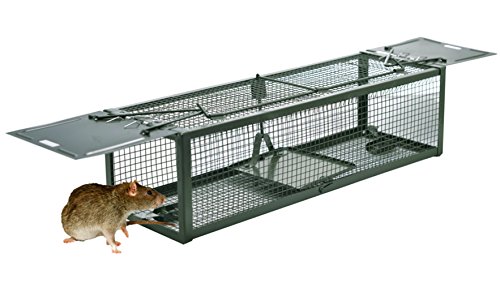 MATATA Live Animal Humane Trap 2-Door Mouse Cage Trap For Chipmunk, Rats, Squirrels, Voles, Rodent and Similar Size Pests(Green)