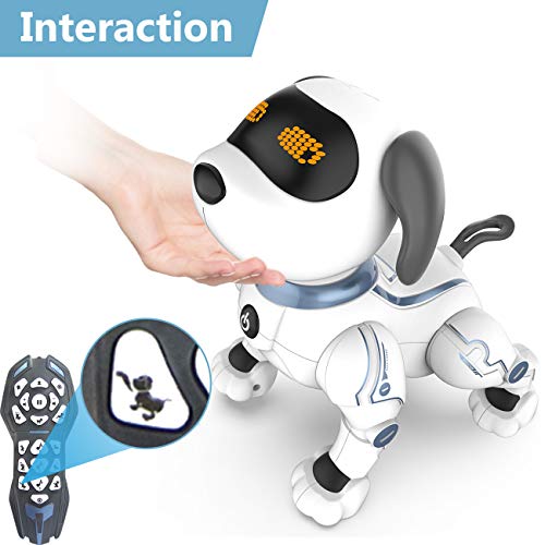 HBUDS Remote Control Robot Dog Toys for Kids, RC Stunt Programmable