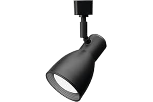 Lithonia Lighting LTHNSTBF BR20 DBL M2 Baffle Head Track Lighting, Black