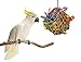 Sweet Feet and Beak Super Shredder Ball - Bird Cage Accessories to Keep Your Bird Busy Foraging for Hidden Treasures - Non-Toxic, Easy to Install Bird Foraging Toys for Medium Sized Birds - 5 Inch