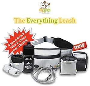 fanny pack dog leash