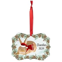 Domesticated New Zealand Red Rabbit Christmas