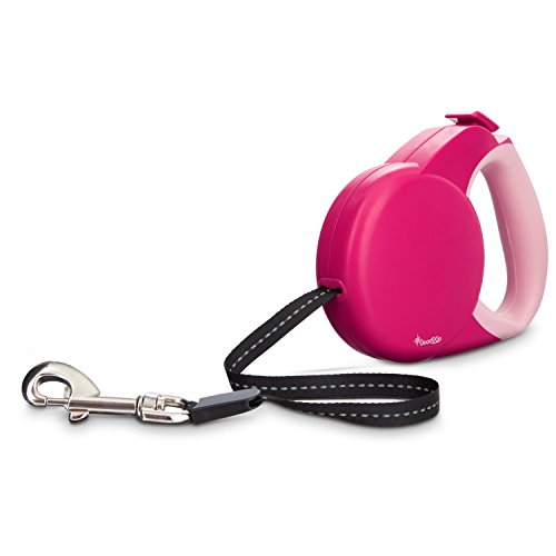 Good2Go Retractable Pink Dog Leash, Medium