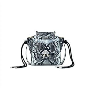 41vC3pb%2B6VL. SS300