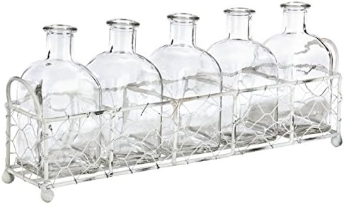 Skalny 84808 Rectangle Metal Tray W/5 Glass Bottles Vases