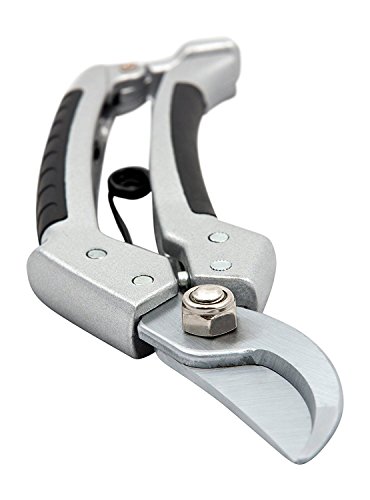 Cate's Garden Bypass Pruning Shears 8” Premium Hand Pruner - Heavy Duty SK5 High Carbon Blades – Ergonomic Angled Design for Pain-Free Cutting