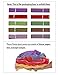 Cinco De Mayo Decorations Fiesta Tissue Pom Paper Flowers - Mexican Party Supplies 16inch (Set of 10)