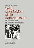 Image de Jugendarbeitslosigkeit seit der Weimarer Republik: Ein sozialgeschichtlicher und soziologischer Vergleich (German Edition)