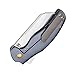 KIZER Cutlery Pocket Knives Flipper Knife Frame Lock Titanium Handles Tactical EDC Folding Knife, Sheepdog C01C Ki4488A