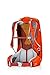 Gregory Mountain Products Zulu 30 Liter Men's Day Hiking Backpack