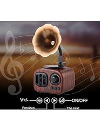 Longpro   Altavoz inalámbrico portátil con Bluetooth, diseño retro vintage, con ranura para tarjeta TF, micrófono integrado (marrón oscuro)