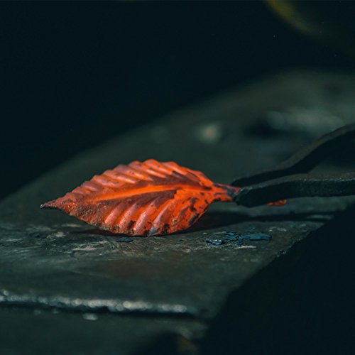 6 Hand+Forged+Iron+Rose+Anniversary