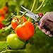 Lenink Pruning Snip,Gardening Hand Pruner Pruning Shear,Trimming Scissor Clipper for Garden Flowers,Vegetables and Herbsthumb 3