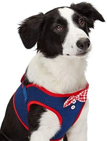 martha stewart dog harness