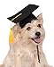 Rubies Graduate Pet Hat for Dogs or Cats, S/M