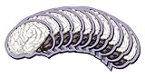 Brain Sticky Notes, 10 Packs-100 Sheets Per Pack