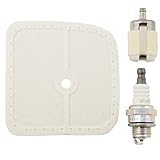 Echo 90153Y Repower Tune-Up Kit