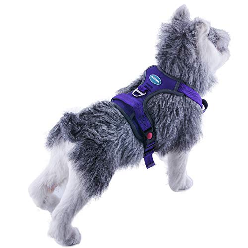 ThinkPet No Pull Harness Breathable Sport Harness with Handle-Dog Harnesses Reflective Adjustable for Medium Large Dogs,Back/Front Clip for Easy Control L Purple