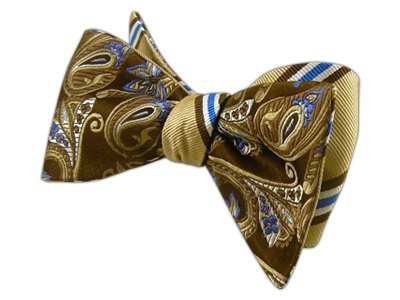 THE TIE BAR 100% SILK CHOCOLATE ECCENTRIC PULSAR REVERSIBLE SELF-TIE BOW TIE