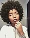 AISI HAIR Curly Wig Short Afro Kinkys Curly Hair Wig Natural Black Short Curly Wig African American Wigs Curly Afro Wig for Black Women