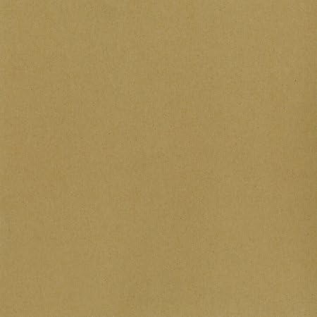 Kraft Heavyweight Cardstock 12X12 25/Pkg-
