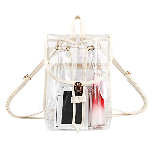 clear stadium cinch bag