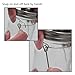 6 Pack Mental Wire Handles for Regular Mouth Mason, Canning Jars Hanger, Hanging Jars, Jar hanging Hook