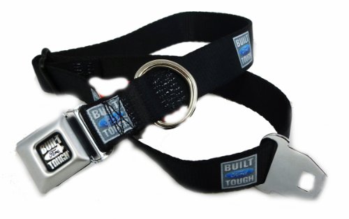 Buckle-Down 9-15" "BFT-Built Ford Tough Black/Silver" Dog Collar, Small