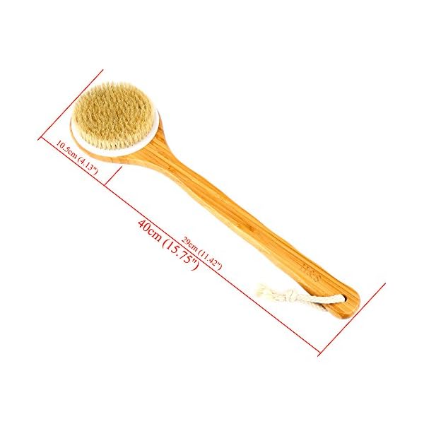 H&S Body Brush Back Scrubber Long Handle Bath Shower Brush Natural Bristles Dry Skin Exfoliating Cellulite Brush Bamboo…