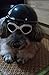 Evursua Pets Ridding Caps Cosplay Hat ABS Plastic Doggie Puppy Bike Motorcycle Helmets Sports Dog Costumes Accessories (S)